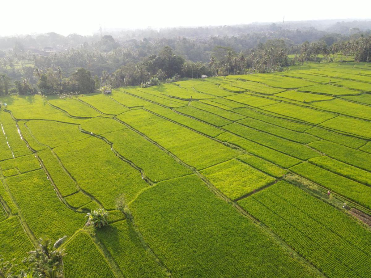 The Sun Of Granary Resort And Villas Ubud  Exterior photo